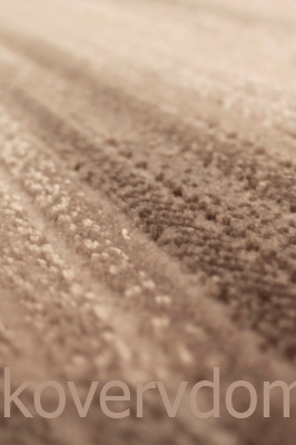 Высокоплотный ковер ПАТАРА V0216VK Высокоплотный ковер ПАТАРА V0216VK